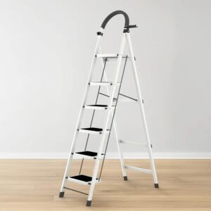 Folding Ladder
